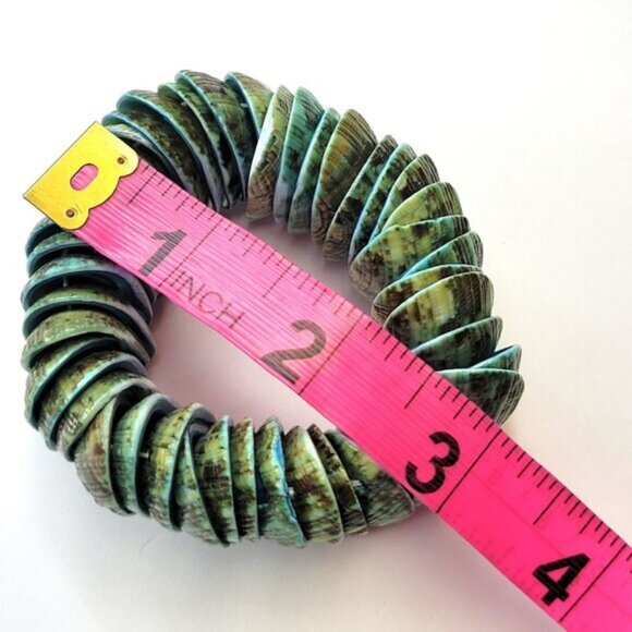 Chunky Green Sea Shell Stretch Bracelet - Picture 7 of 8